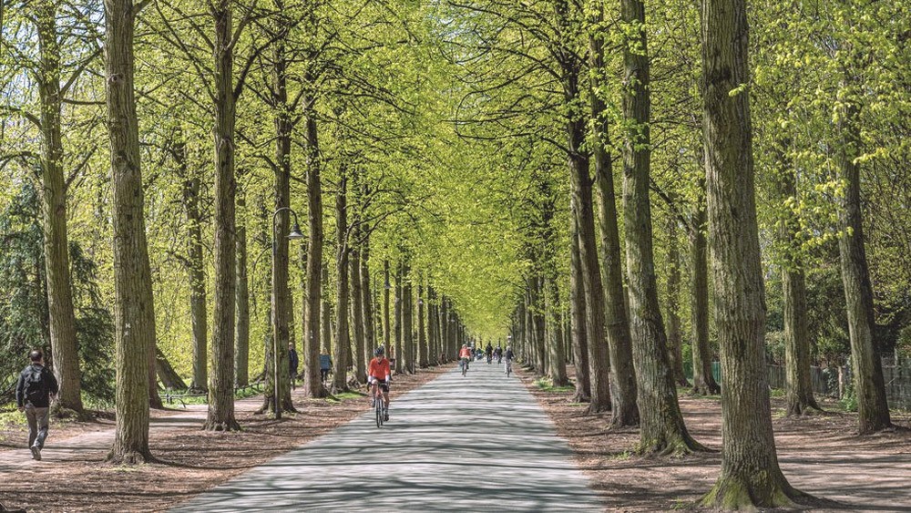 Die Promenade in der Nähe der Klostergärten Münster